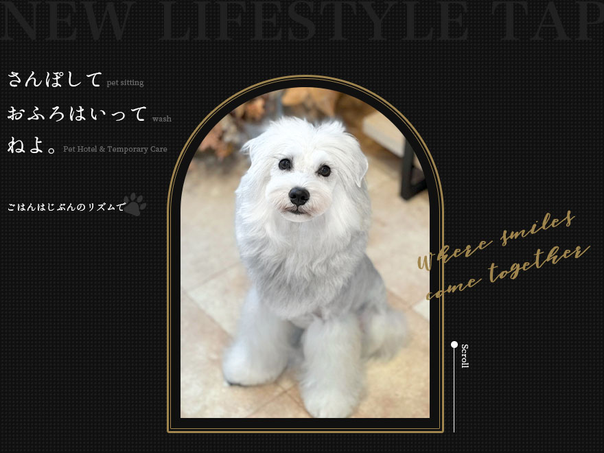 ペットホテル／ペットシッター／セルフウォッシュTAPのペットホテル・預かり情報をイメージできる写真